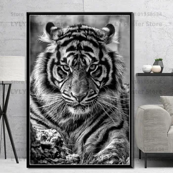 G143 Король животных тигр Черно-белое фото Настенный художественный декор Холст Картина шелковый плакат