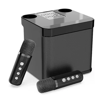 Аудиосистема семейства KTV с двойным беспроводным микрофоном, встроенная машина, портативное караоке на открытом воздухе, Bluetooth-динамик