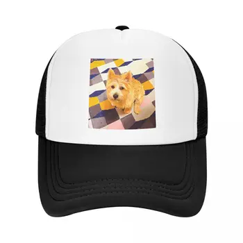 Бейсболка для щенков Норвич-терьера, бейсболка-качалка, солнцезащитная шляпа, Солнцезащитная шляпа на день рождения, Солнцезащитная шляпа, женская мужская шляпа